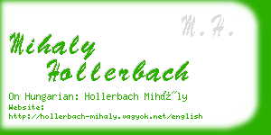 mihaly hollerbach business card